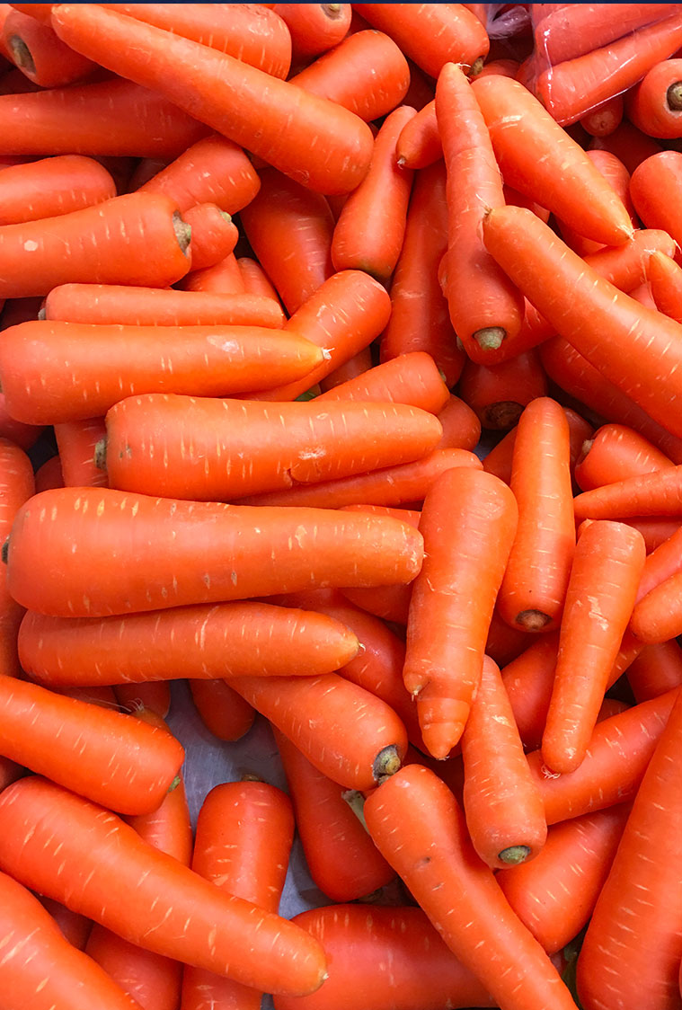 Nilma  Pioneer - Éplucheuse rapide pour PDT et carottes