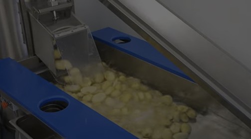 PIONEER SYSTEM Linea automatica di pelatura patate