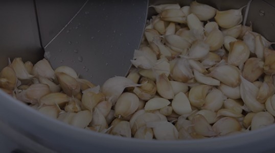 BOXER - Pelatrice rapida per aglio