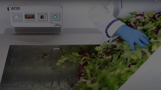 ATIR - UNIVERSAL VEGETABLE WASHERS