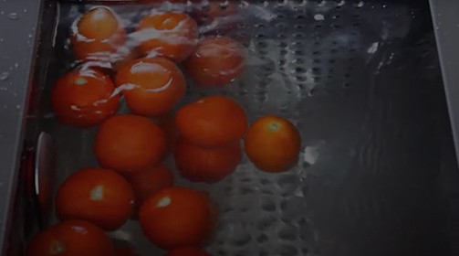 TURBOIDREX - Lavaverdure automatica con centrifuga