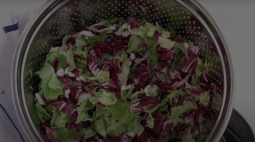 IDROVER 50 - CENTRIFUGA PER VERDURA