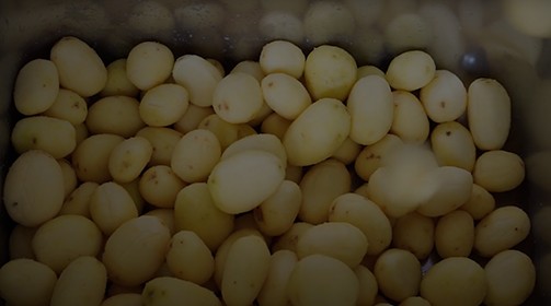 PIONEER- Pelatrice rapida per patate e carote